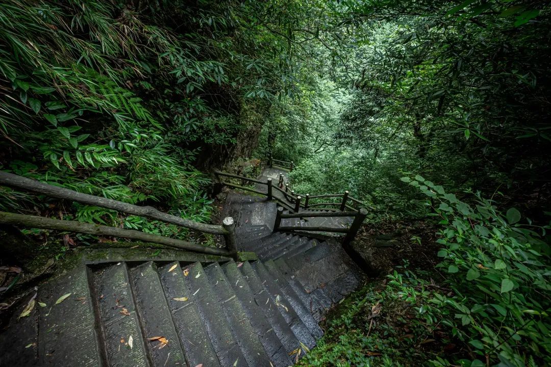 到底为什么要爬峨眉山