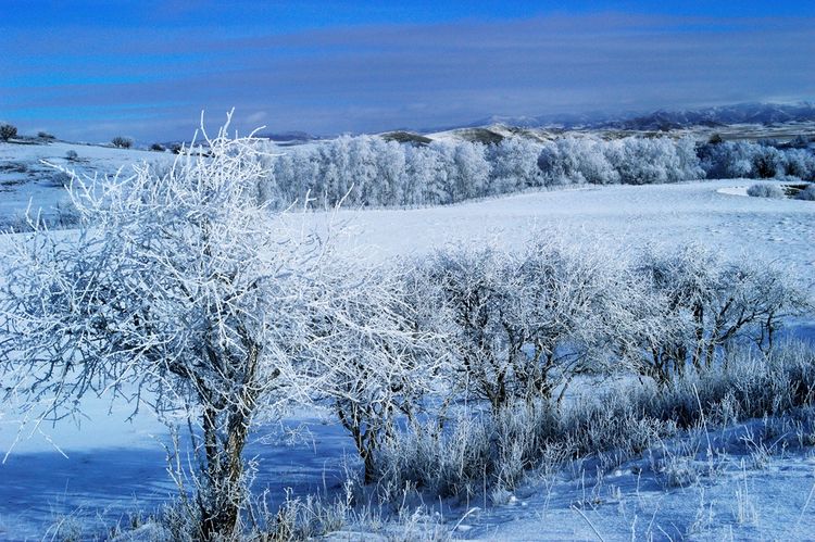 冬季坝上草原银装素裹一片塞外冰雪世界