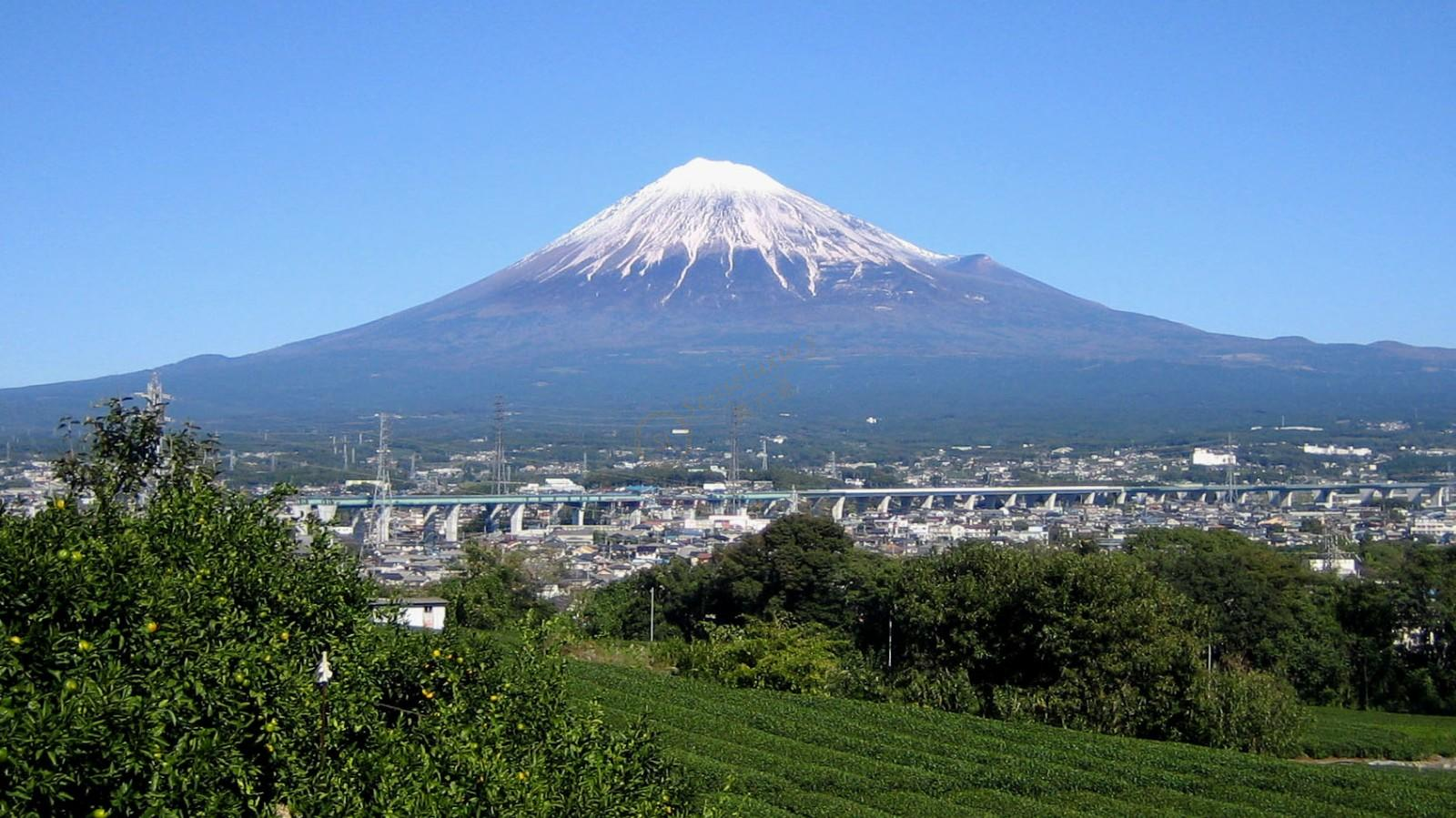 日本樱岛火山喷发火山口数量增加6倍的富士山会大规模喷发吗