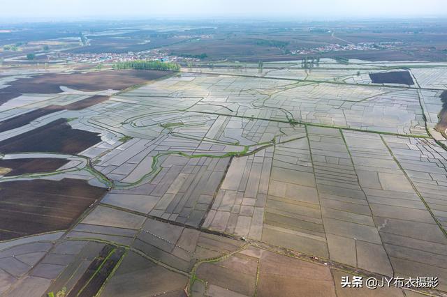 航拍丨榆树市插秧时节的水田