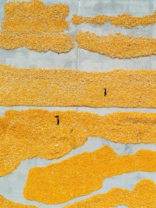 1568467363543072.png 微信截图_20190914212235.png