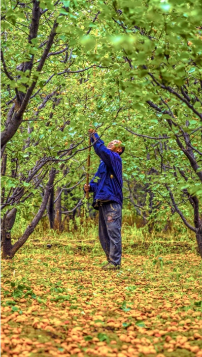 1568467408429388.png 微信截图_20190914212317.png