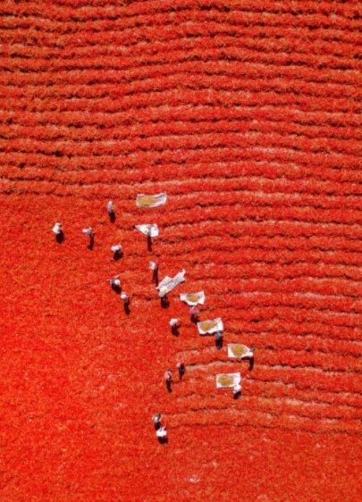 1568467594506935.png 微信截图_20190914212615.png