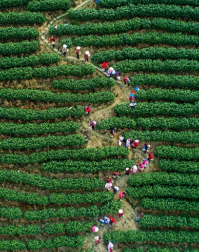 1568467643688298.png 微信截图_20190914212715.png