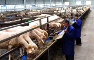 1568467674354979.png 微信截图_20190914212746.png