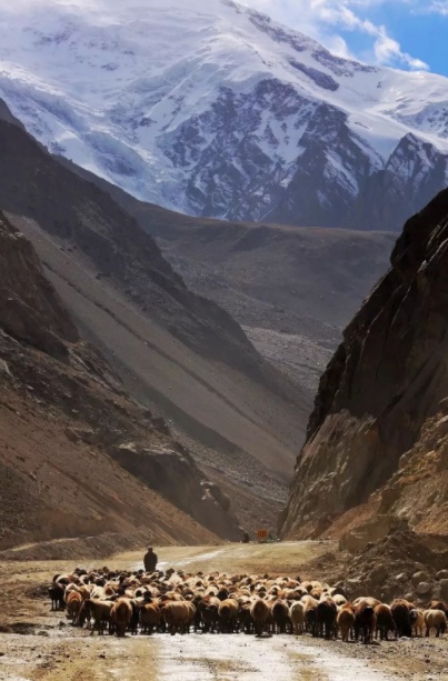 1568467745259368.png 微信截图_20190914212859.png