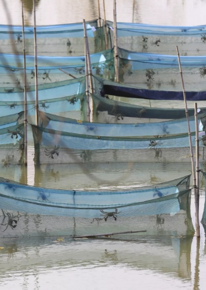 1568467801558192.png 微信截图_20190914212954.png