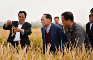 1568467984397616.png 微信截图_20190914213256.png