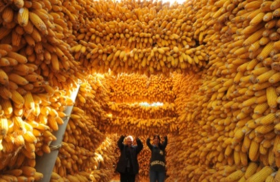 1568468272525709.png 微信截图_20190914213745.png