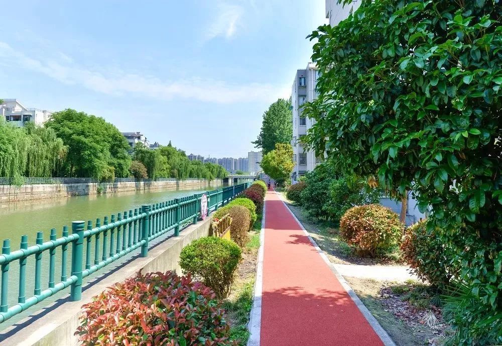 行在绿荫间,目遇河边草~宝山145条健身步道及绿道等你来!