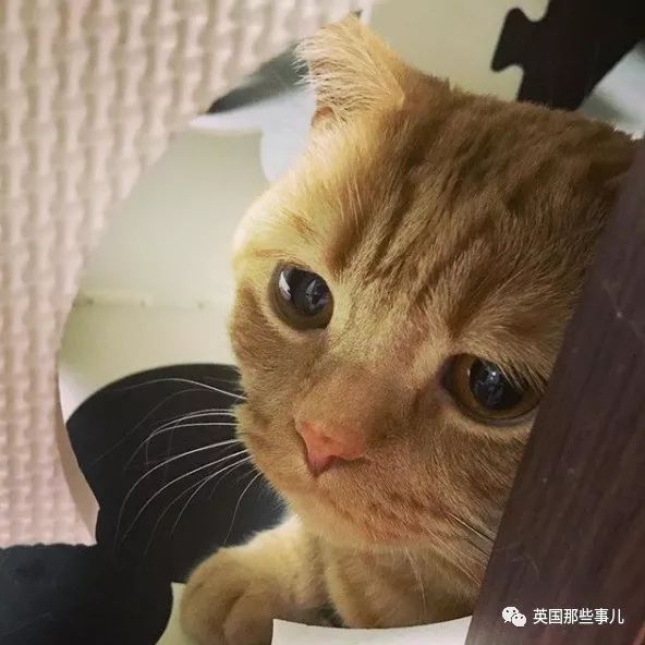 "辗转反侧……"