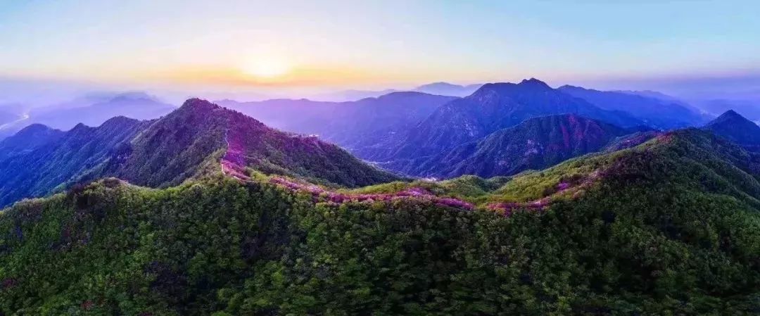 你要问我去向何方我指英山的方向