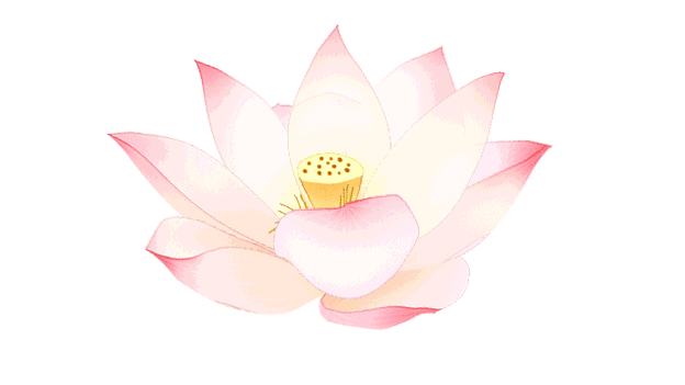 624_351gif 动态图 动图