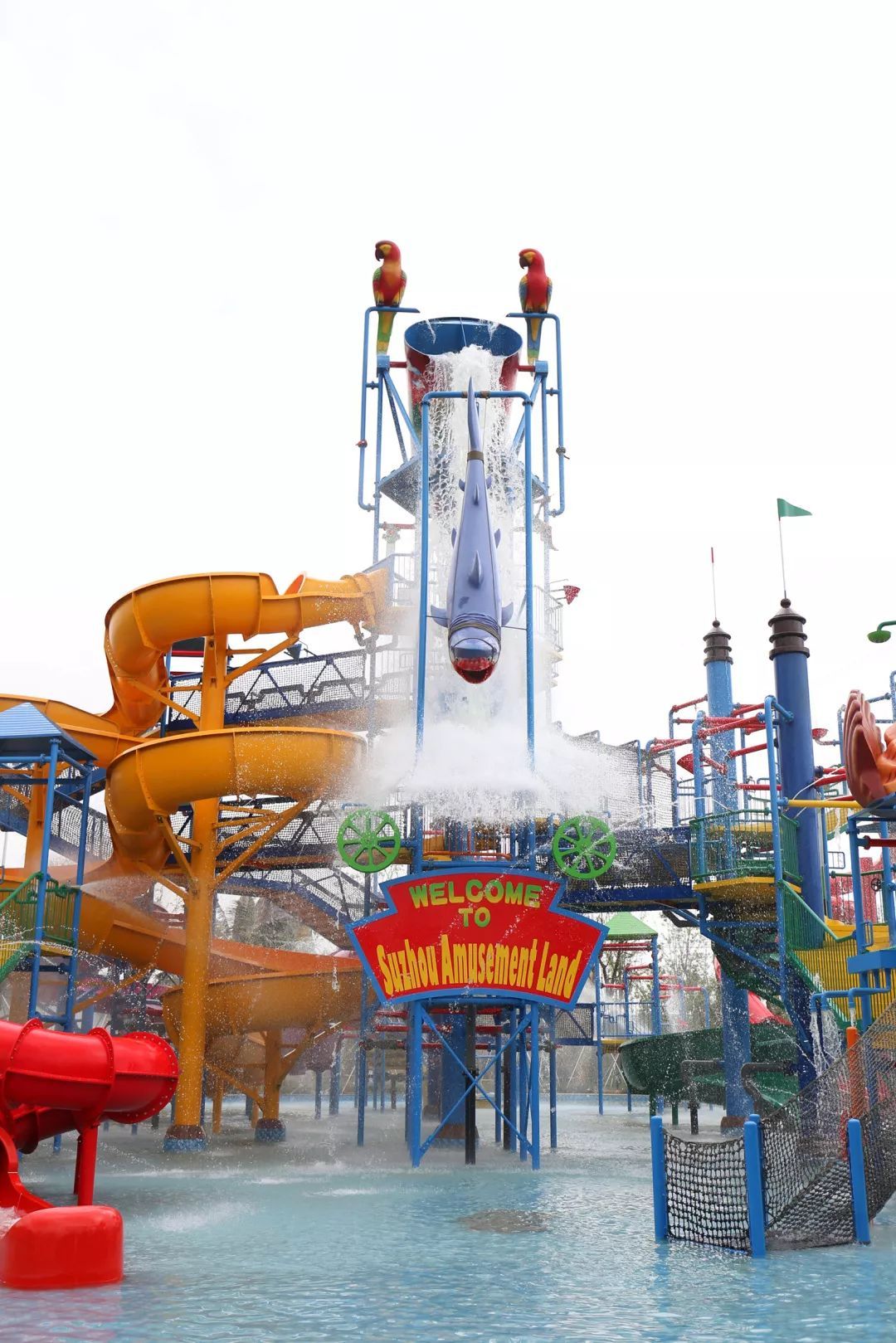 亲子玩水趴 魅力型男秀等超多精彩 苏城玩水 就来苏州乐园森林水世界