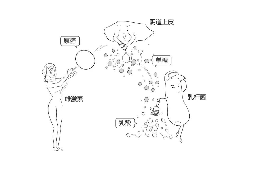 环境异常,不仅易发其他疾病,还会加大治愈难度;病菌可上行感染宫腔