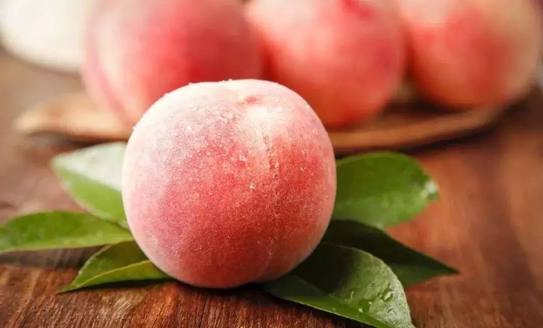 即将上市的美味福安穆阳水蜜桃你对她了解多少