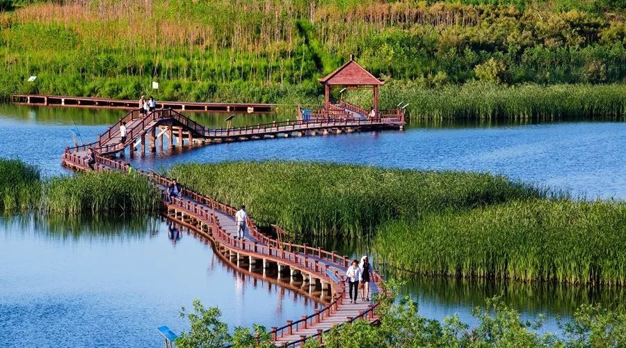 寒亭以民为本奏响民生幸福曲_人民号