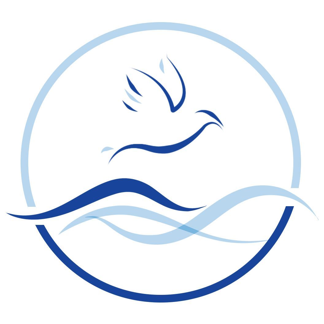 新区青志队伍专属名称及logo投票你喜欢的样子我们都有