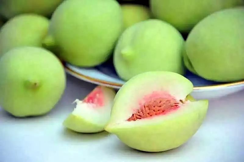 约起来周六去潘青桃采摘