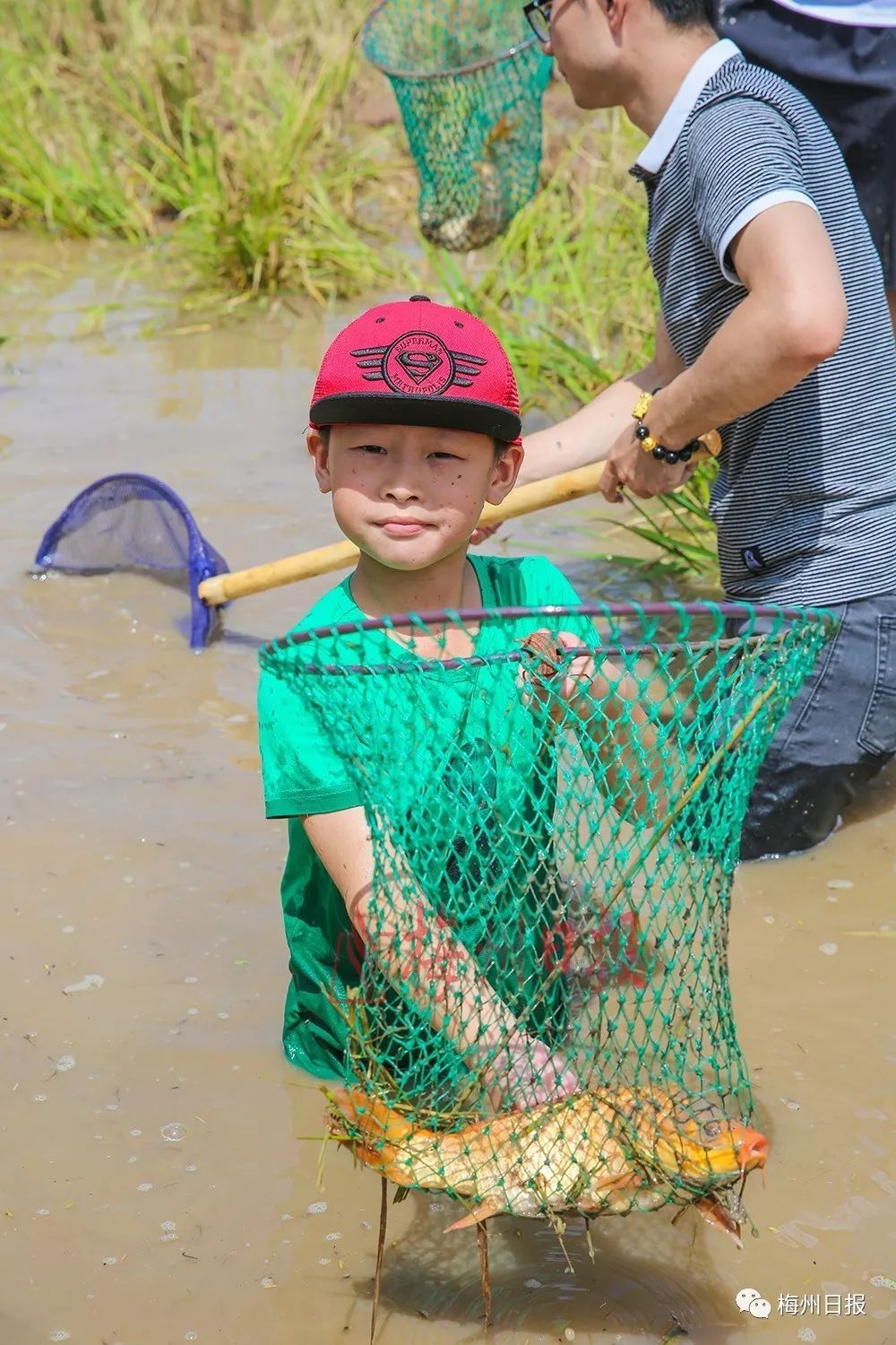 我也想回梅州农村抓鱼!