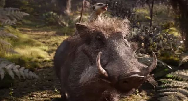 hakunamatata狮子王丁满彭彭教你笑对生活