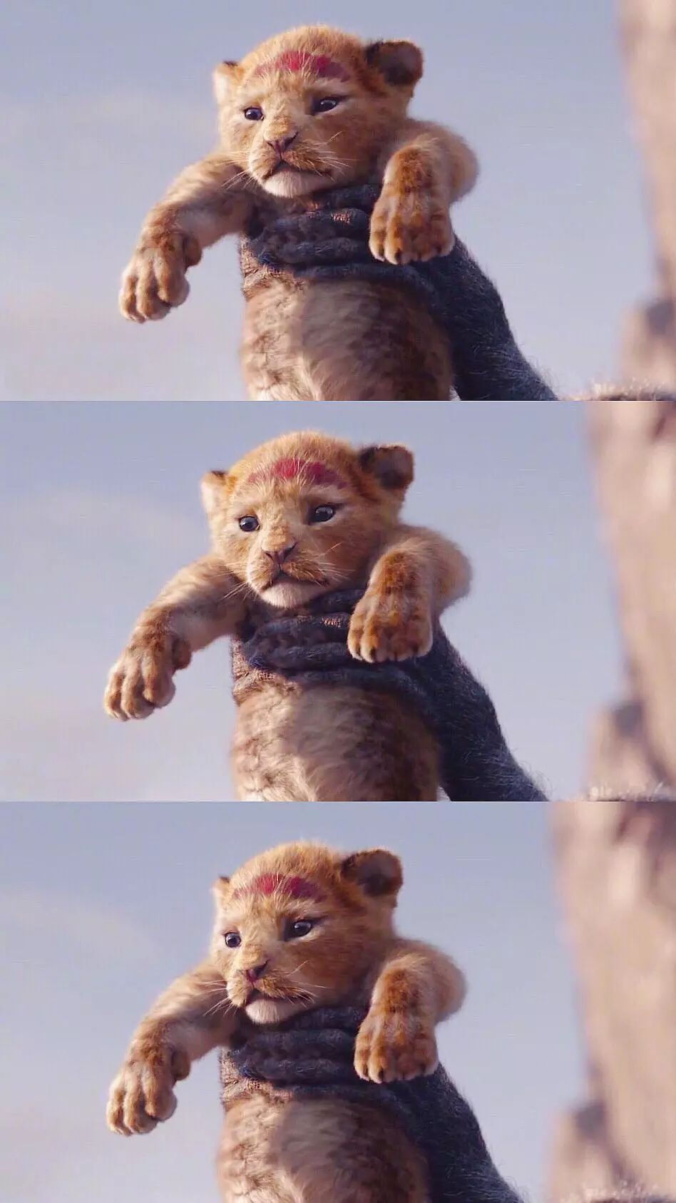 【漏网之娱】进影院重温《狮子王》,找回25年前的震撼!