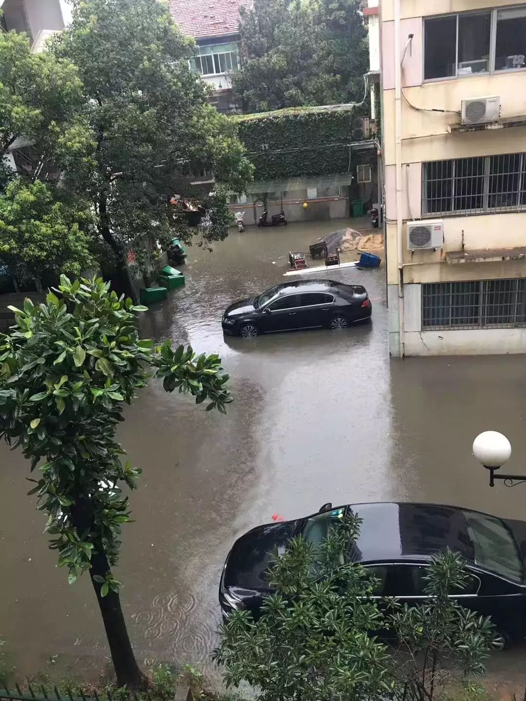 你家小区楼下可能是这样的开启了"看海模式"周末更是一觉醒来多地都