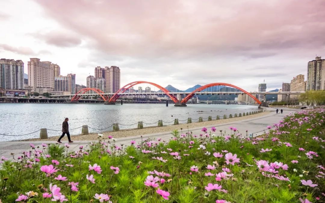 理响侨乡 | 推进"三城同创",让青田既有"颜值"也有"气质"