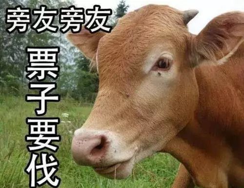 北京妇产医院黄牛当日挂号黄牛票贩子电话的简单介绍