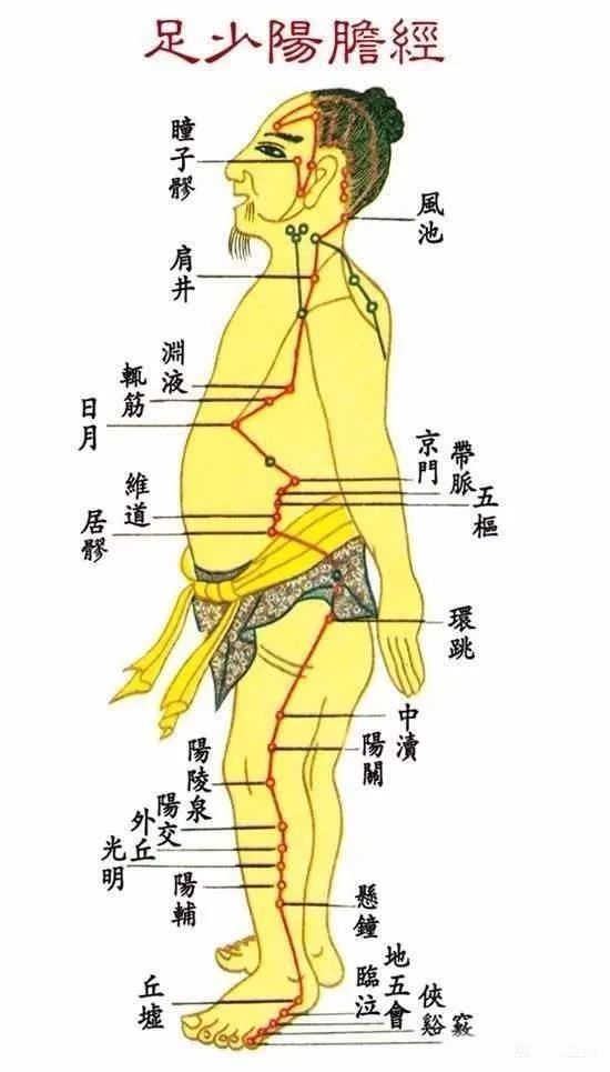 带脉的走向准确位置图图片