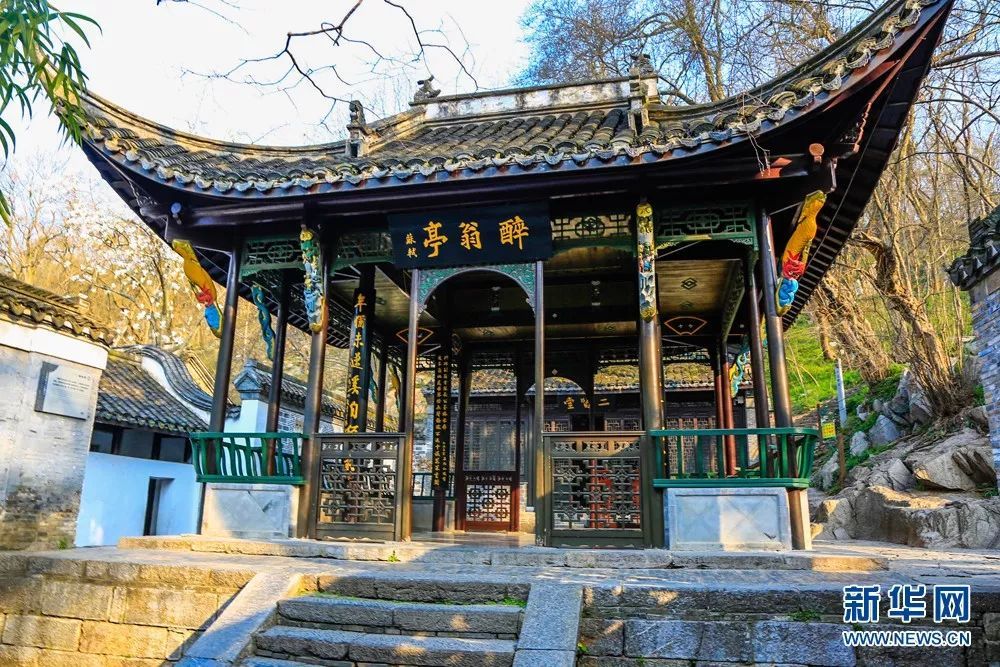 期待已久!苏轼草书《醉翁亭记》千年后重归故里开封