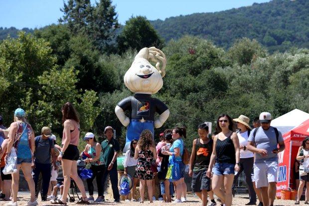 美国加州"大蒜节"发生枪击案,至少3人死亡多人受伤