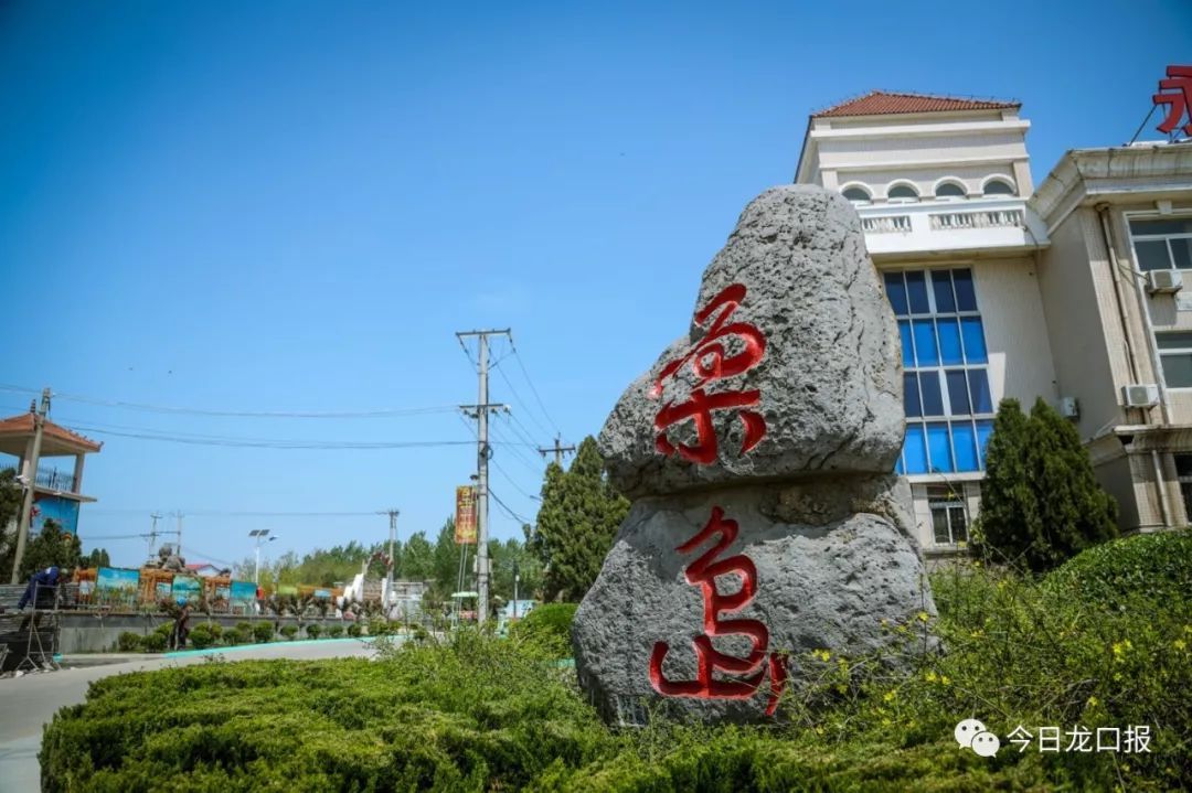 龙口桑岛不光景美,挣钱也有门道!