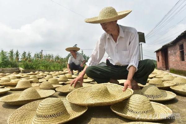 村民们正在忙碌着编织草帽 当地村民种植灯草,编草帽 已有近百年历史