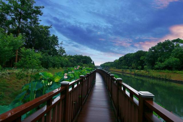 塘湾村:原生态村落变身中国首个母婴康养村|乡村之变③