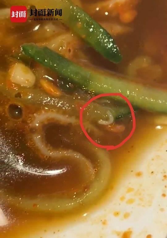 成都太古里一网红餐馆吃出活蛆市场监管部门已介入调查