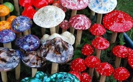 提醒天老星墨汁鬼伞大连人千万别吃这些东西