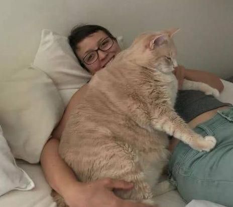 外国3岁橘猫重达30斤胖成一头猪主人为其制定减肥计划