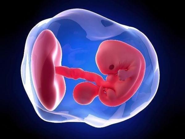 孕期,总是担心胎儿发育?其实做好3件事,畸形没那么容易发生