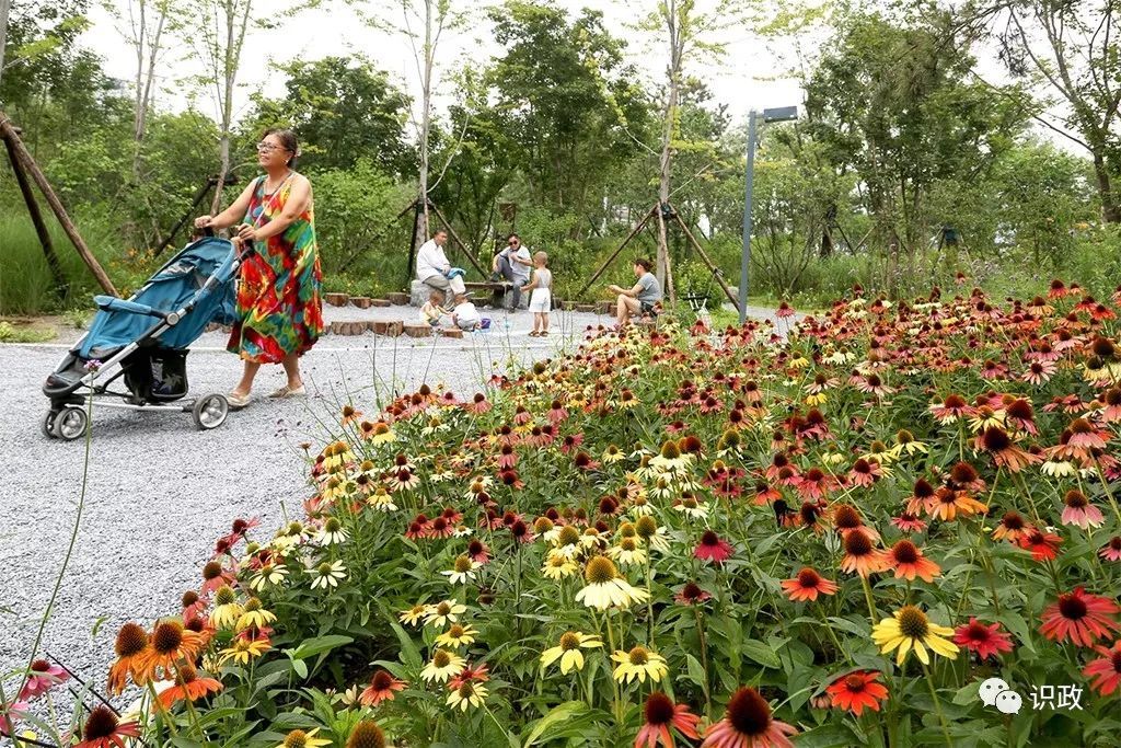 位於通惠河畔的大通濱河森林公園,曾是一片人口密集,環境髒亂的棚戶區