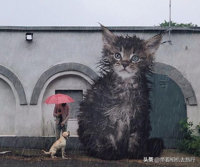 "猫咪控"艺术家把三米高"巨猫"ps进自己的照片里