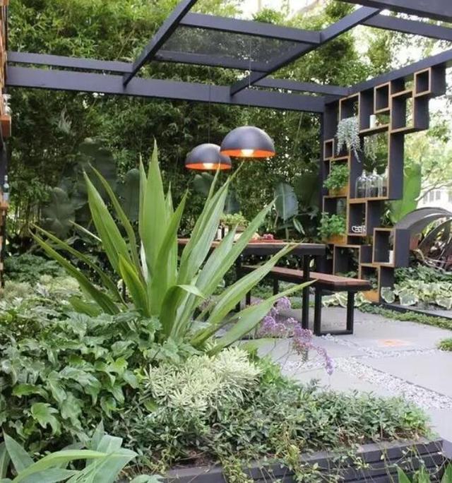 听腻了城市喧嚣那就造一个院子和花草荒度一生吧