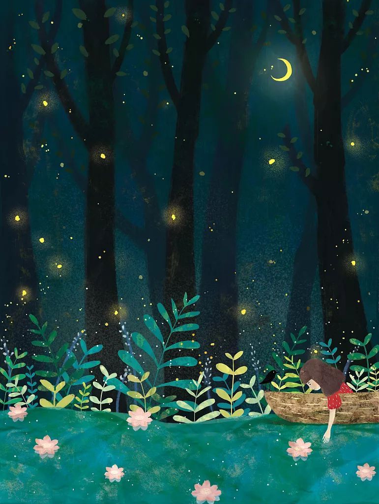 夜话丨再会我的夏天