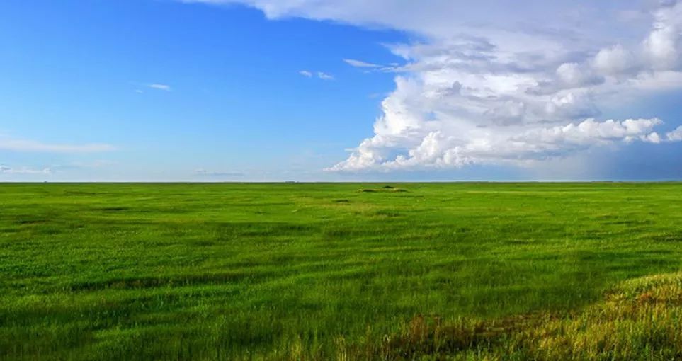 感受动车速度品尝头茬苞米这个初秋邀您来杜蒙草原做客