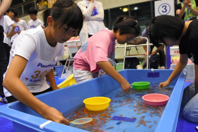 日本举行捞金鱼大赛 1850人参与挑战