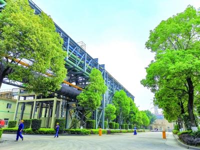 市区三宝钢铁践行绿色发展理念,厂区环境幽雅. 白志强摄