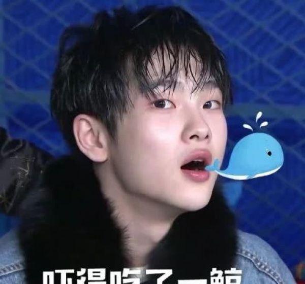 周震南搞笑表情包南南也是斗图界的一员大将表情包产出丰富