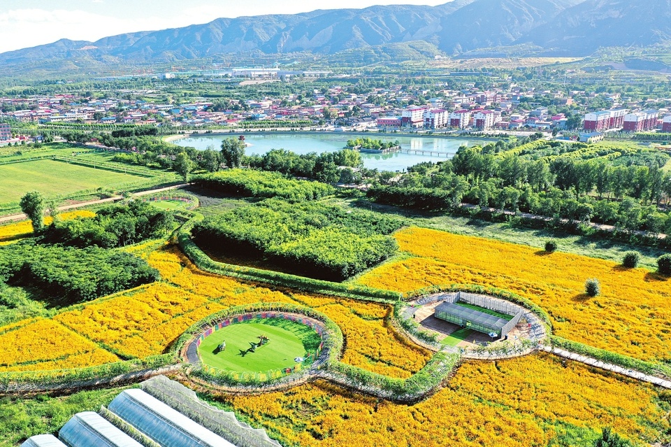 山西太原市呼延村:千亩花海 四季可观赏