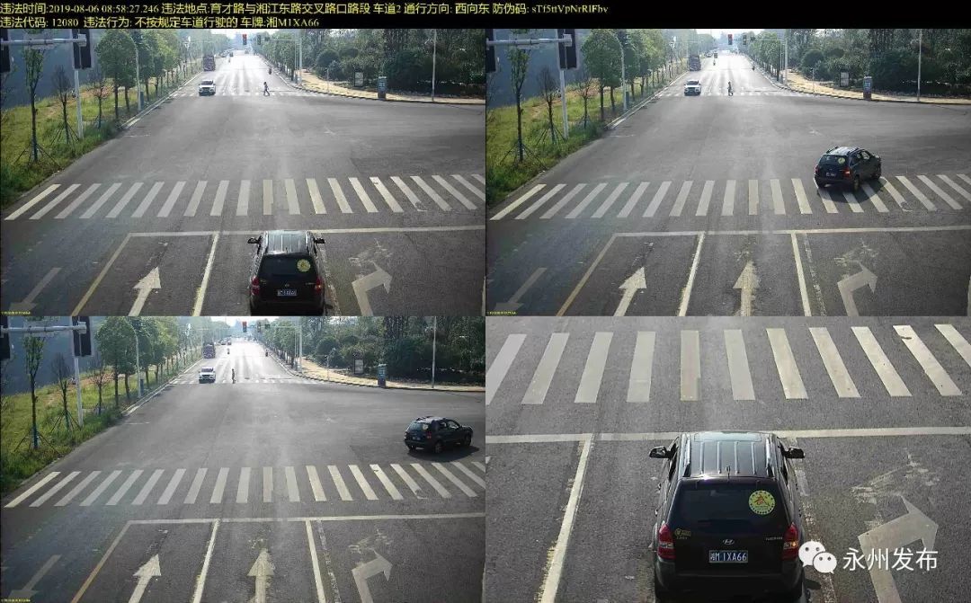 有图有真相六城同创交通违法曝光第三期