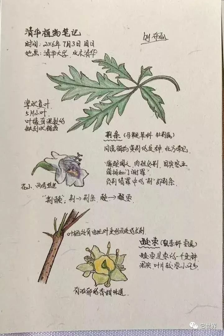 雨的详细自然笔记图片